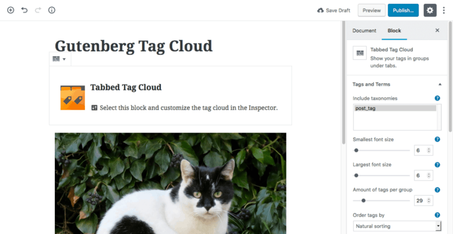 Screenshot - WordPress - Gutenberg - Dynamic Block - Tag Cloud Plugin