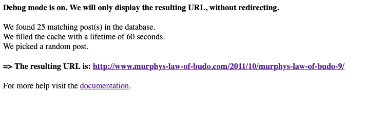 redirect URL to post debug parameter